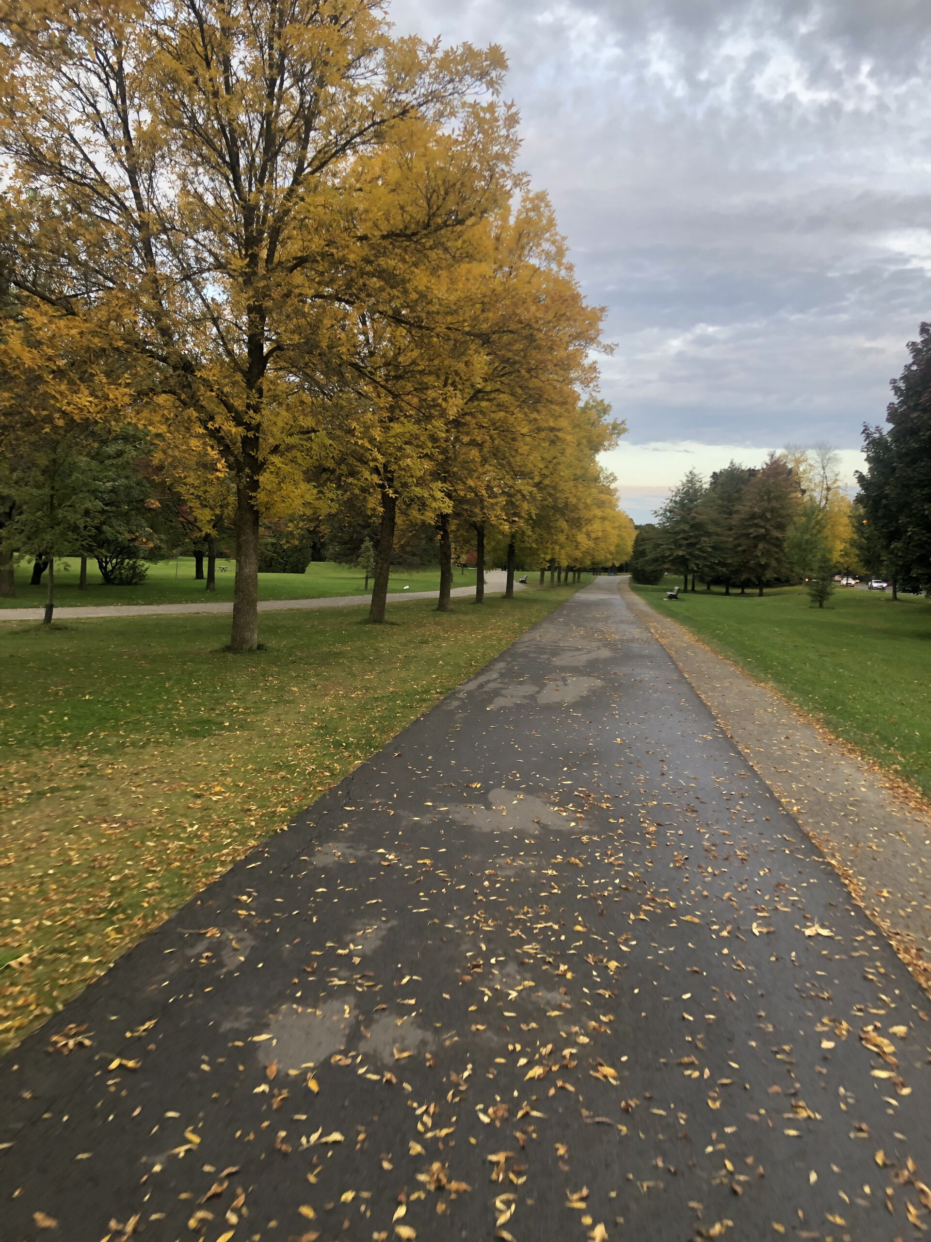 Otoño, cicloruta